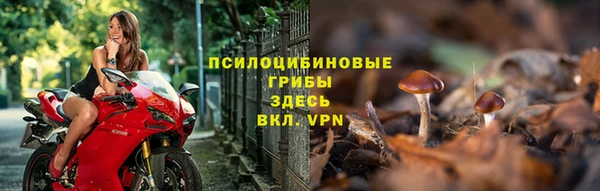 стаф Армянск