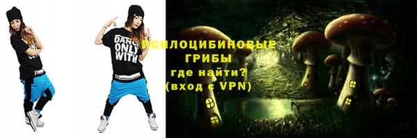 молекула духа Арсеньев