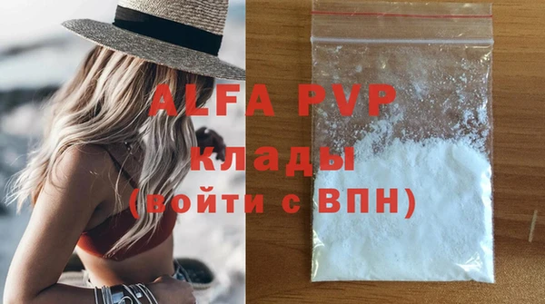 молекула духа Арсеньев