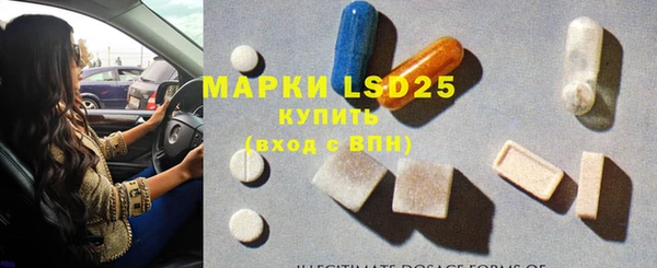 молекула духа Арсеньев