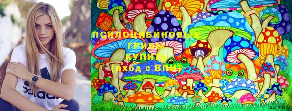 стаф Армянск