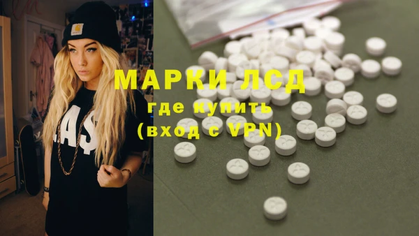 молекула духа Арсеньев